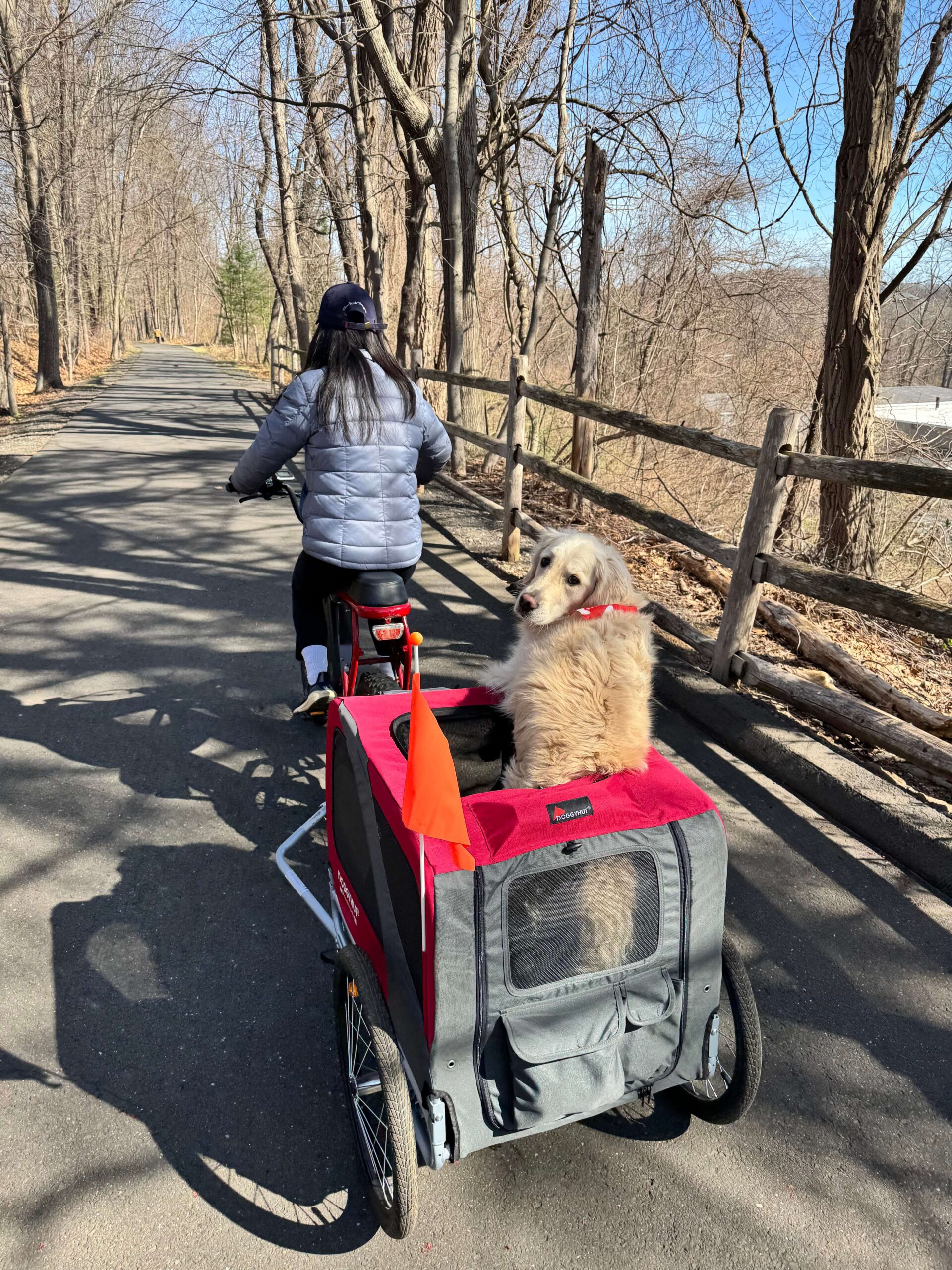 The Ultimate Dog-Friendly Travel Packing List (2026)