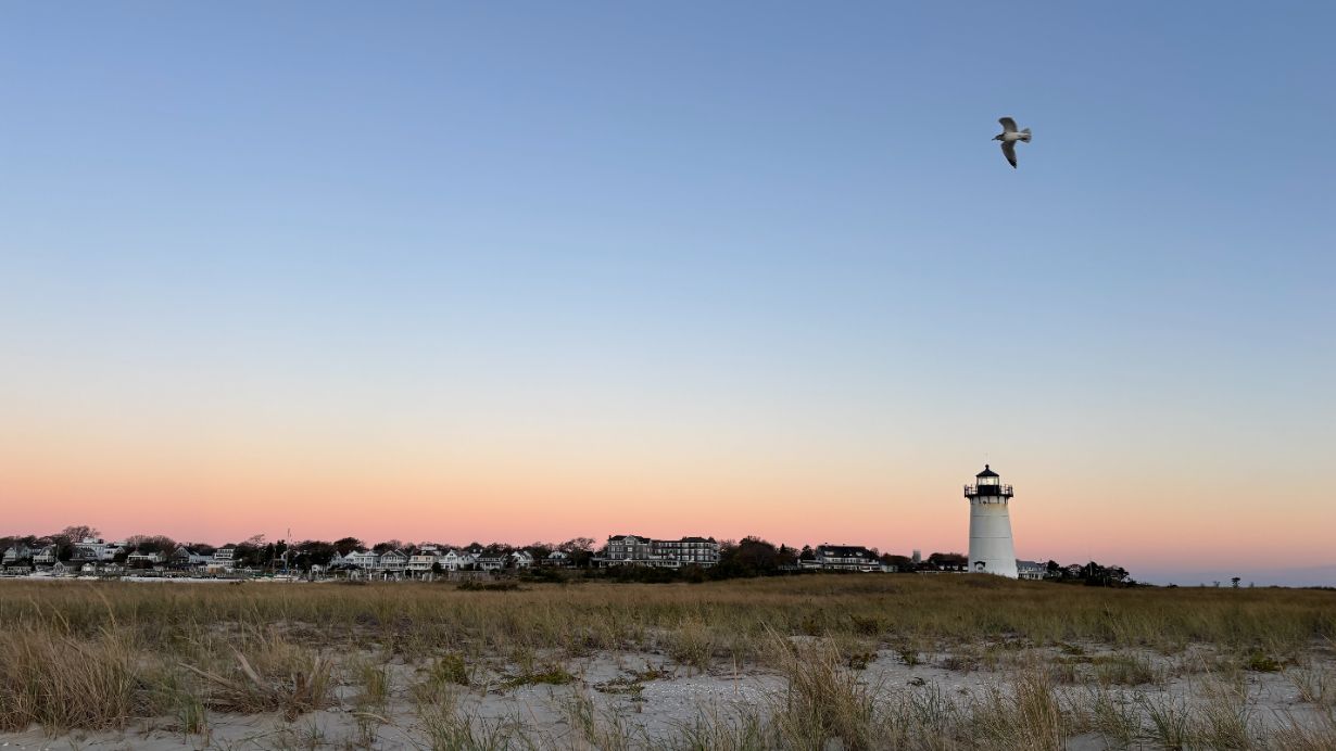 Martha’s Vineyard With a Big Dog: Our Pasta-Approved Week at Faraway