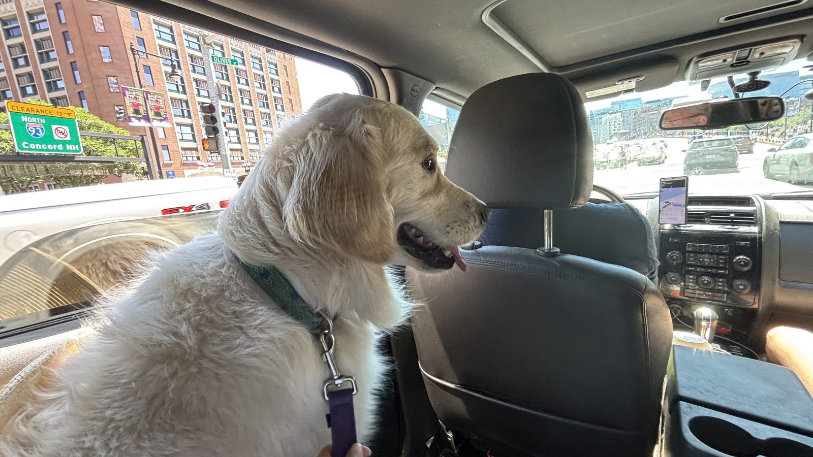 Boston With a Big Dog: Our Pasta-Approved Weekend at the Kimpton Marlowe